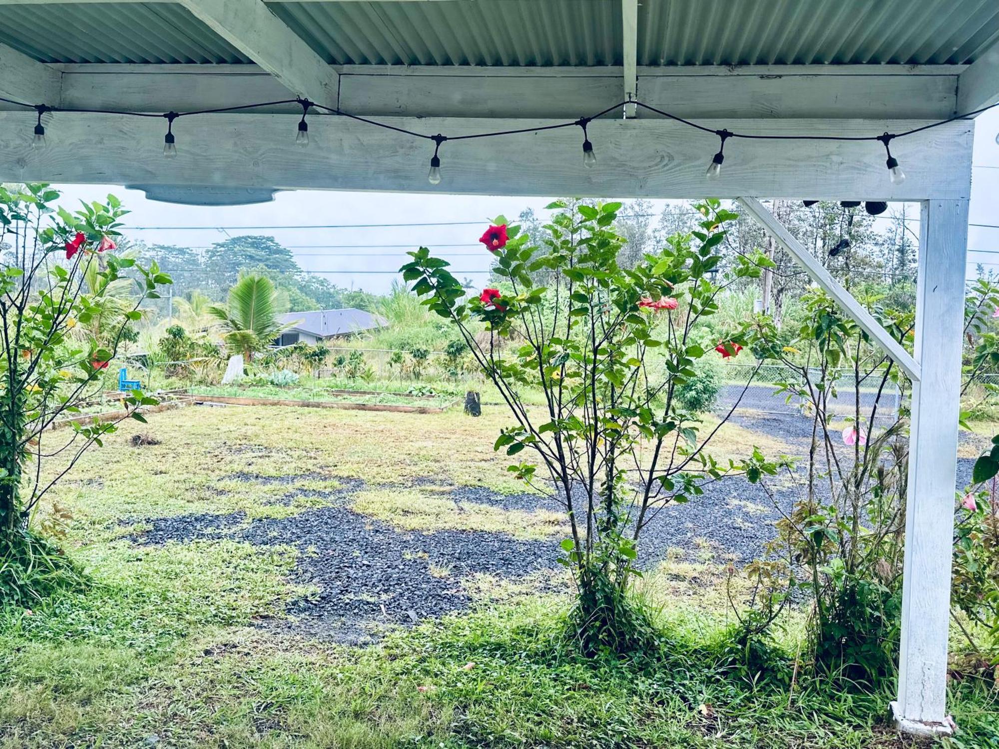 Kope Hale Farm House Near Hilo & Volcano National Park Pahoa المظهر الخارجي الصورة